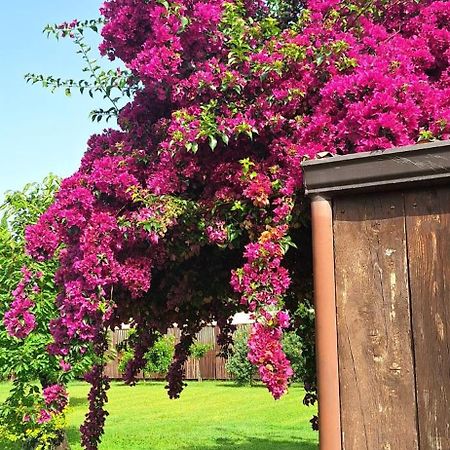 Villa Lucilla Altavilla Silentina Εξωτερικό φωτογραφία
