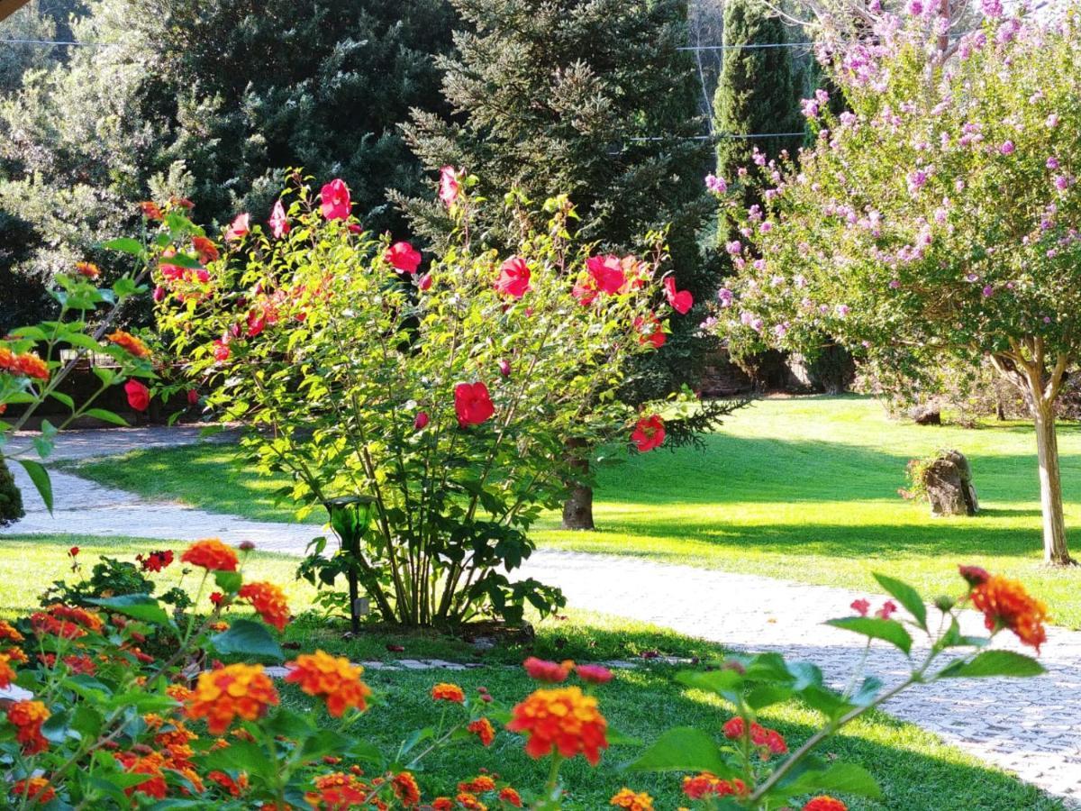 Villa Lucilla Altavilla Silentina Εξωτερικό φωτογραφία