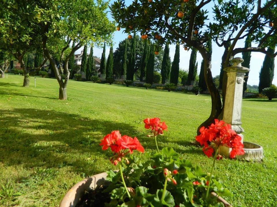 Villa Lucilla Altavilla Silentina Εξωτερικό φωτογραφία