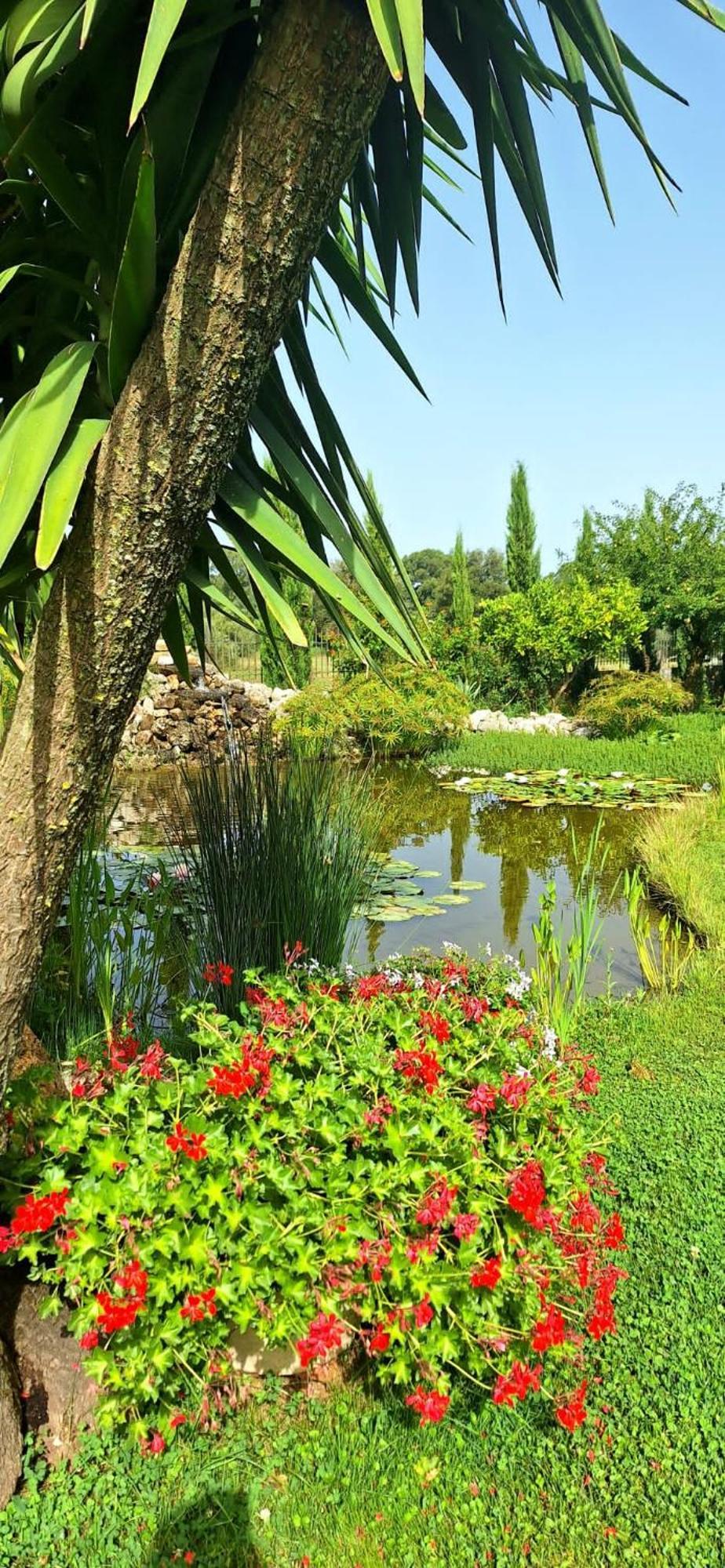 Villa Lucilla Altavilla Silentina Εξωτερικό φωτογραφία