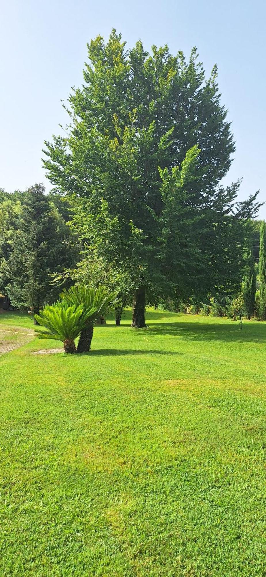Villa Lucilla Altavilla Silentina Εξωτερικό φωτογραφία