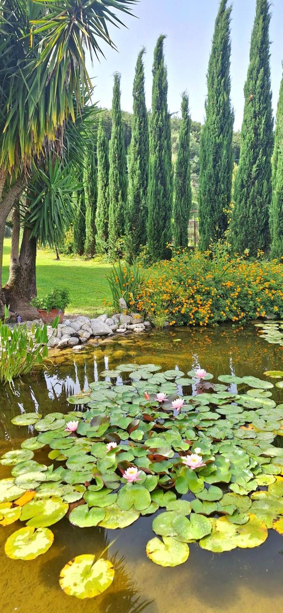 Villa Lucilla Altavilla Silentina Εξωτερικό φωτογραφία